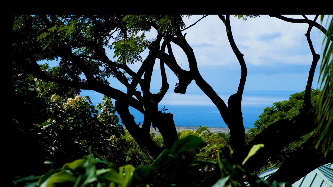 Photo of Outdoor in Kalaoa