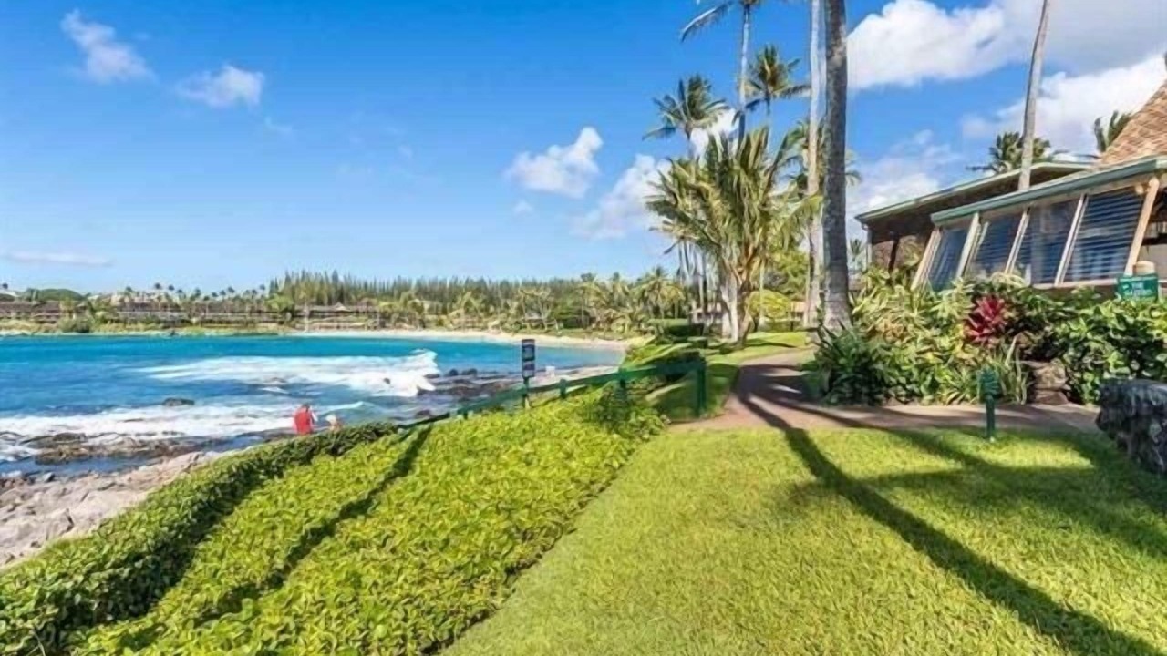 Photo of Others in Napili