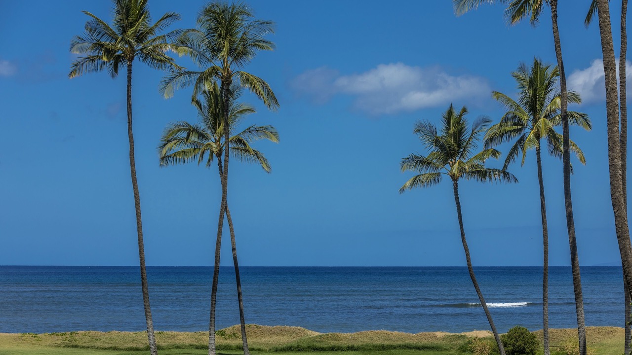 Photo of Others in Kihei