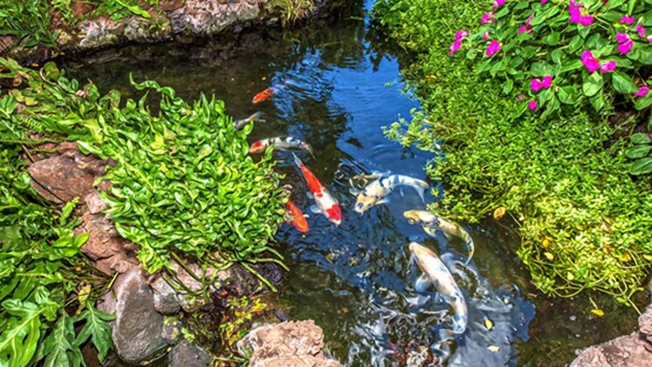 Photo of Outdoor in Maalaea