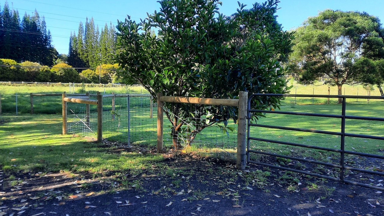 Photo of Outdoor in Kamuela
