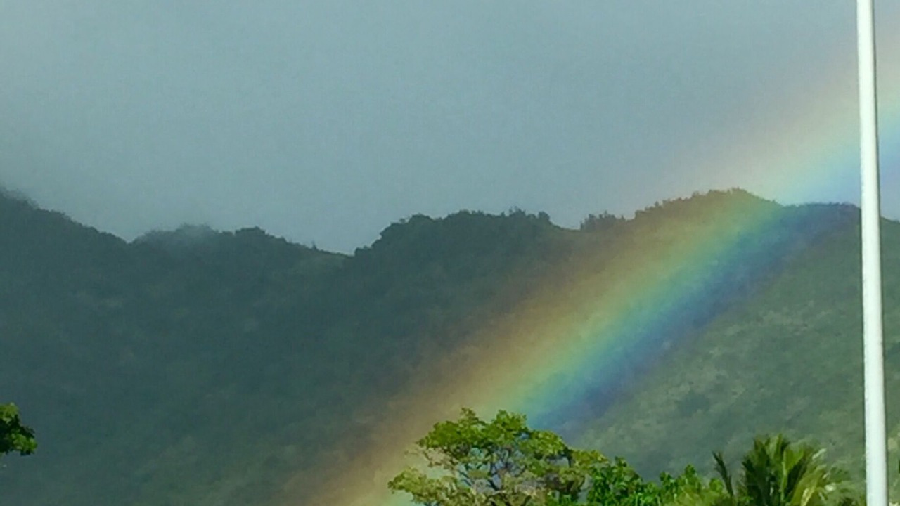 Photo of Others in 'Aina Haina