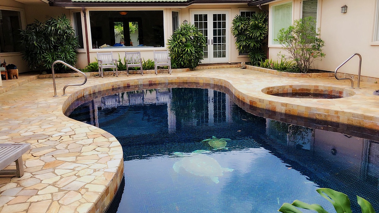Photo of Outdoor in 'Aina Haina
