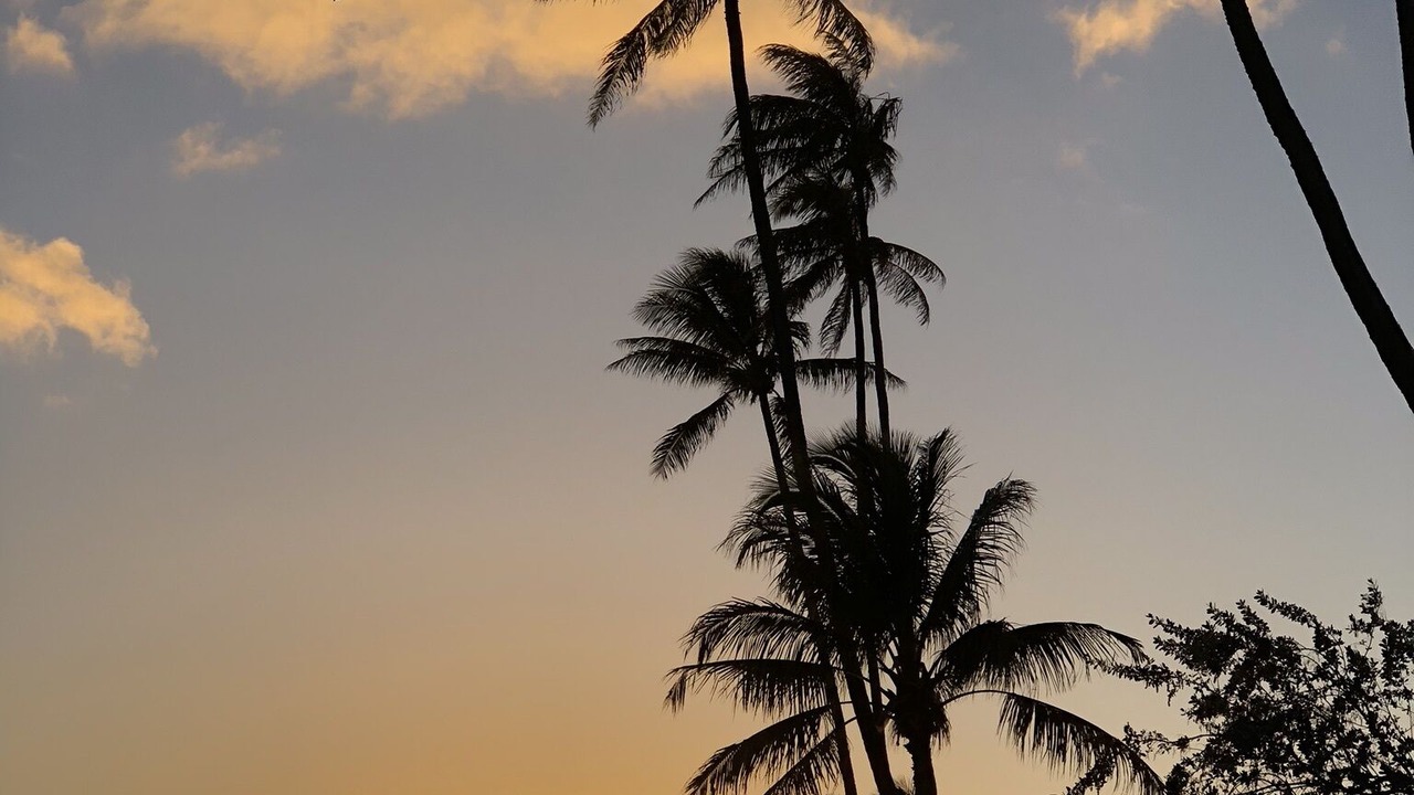 Photo of Others in 'Aina Haina