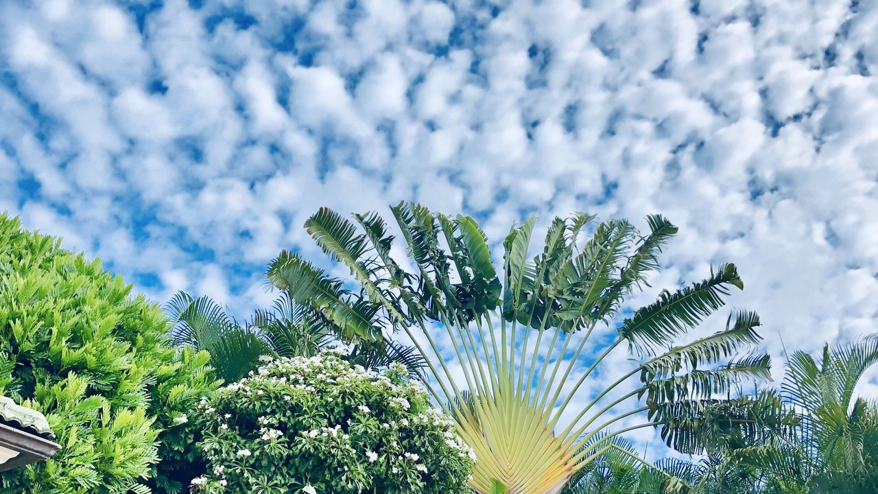 Photo of Outdoor in 'Aina Haina