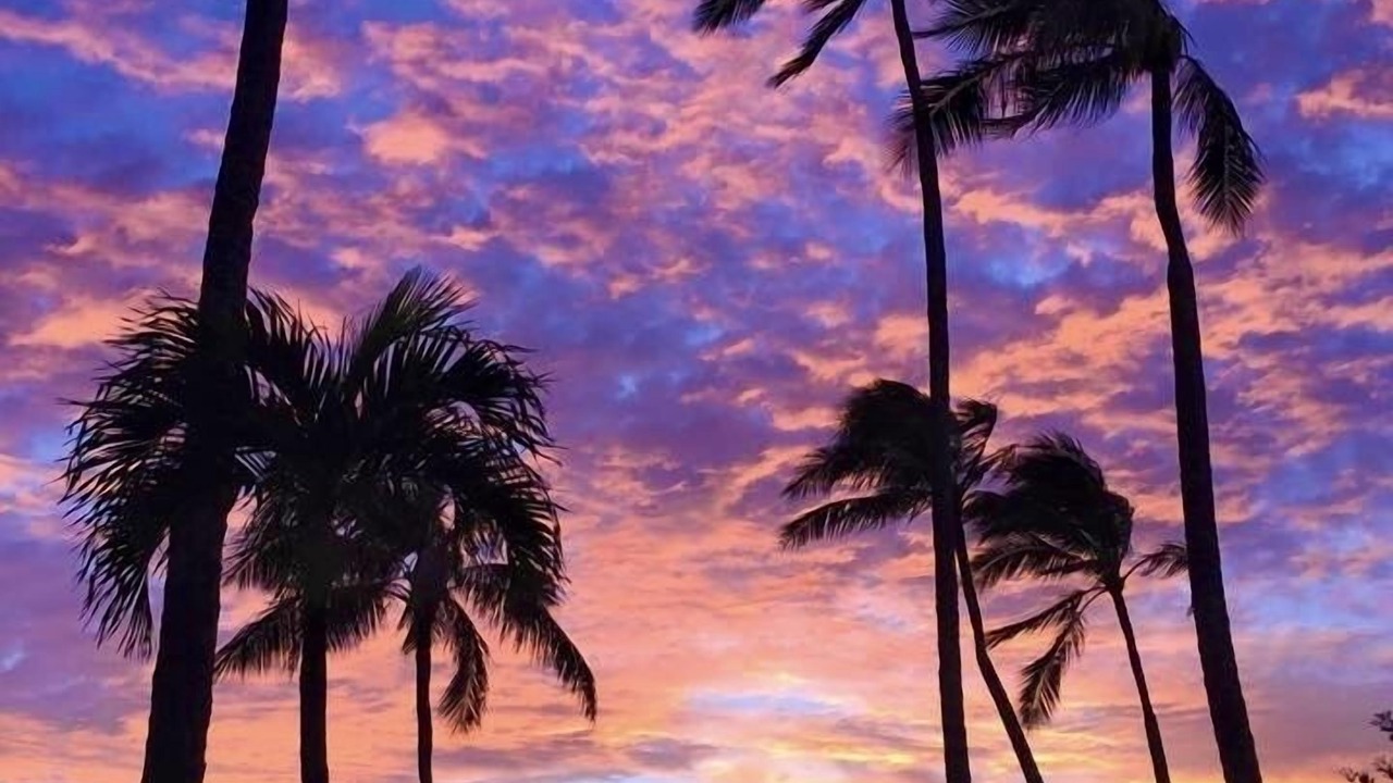 Photo of Outdoor in 'Aina Haina