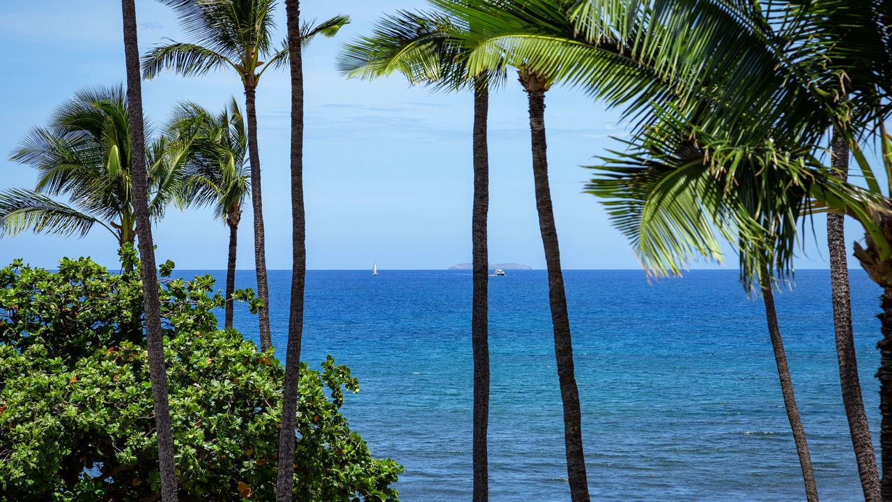 Photo of Others in Maalaea