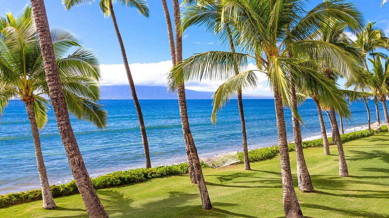 Photo of Others in Downtown Lahaina
