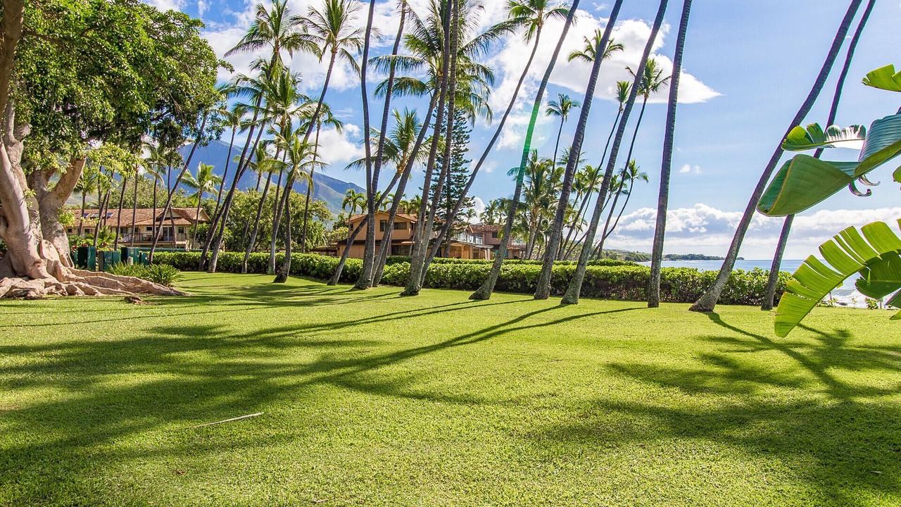 Photo of Outdoor in Downtown Lahaina
