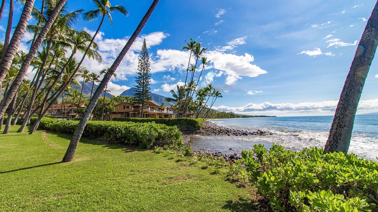 Photo of Outdoor in Downtown Lahaina