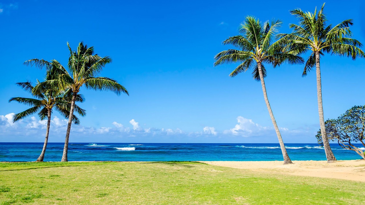 Photo of Outdoor in Poipu