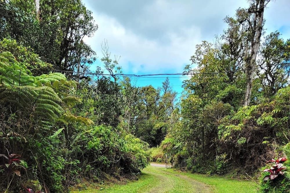 Photo of Outdoor in Pahoa