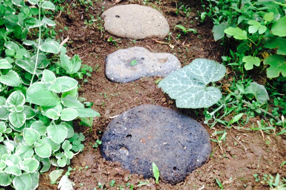 Photo of Outdoor in Makapala