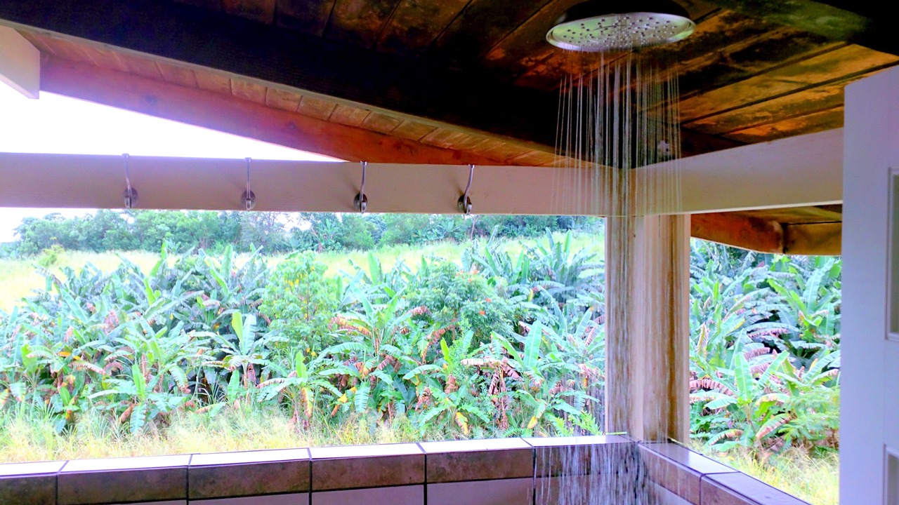 Photo of Bathroom in Pepeekeo