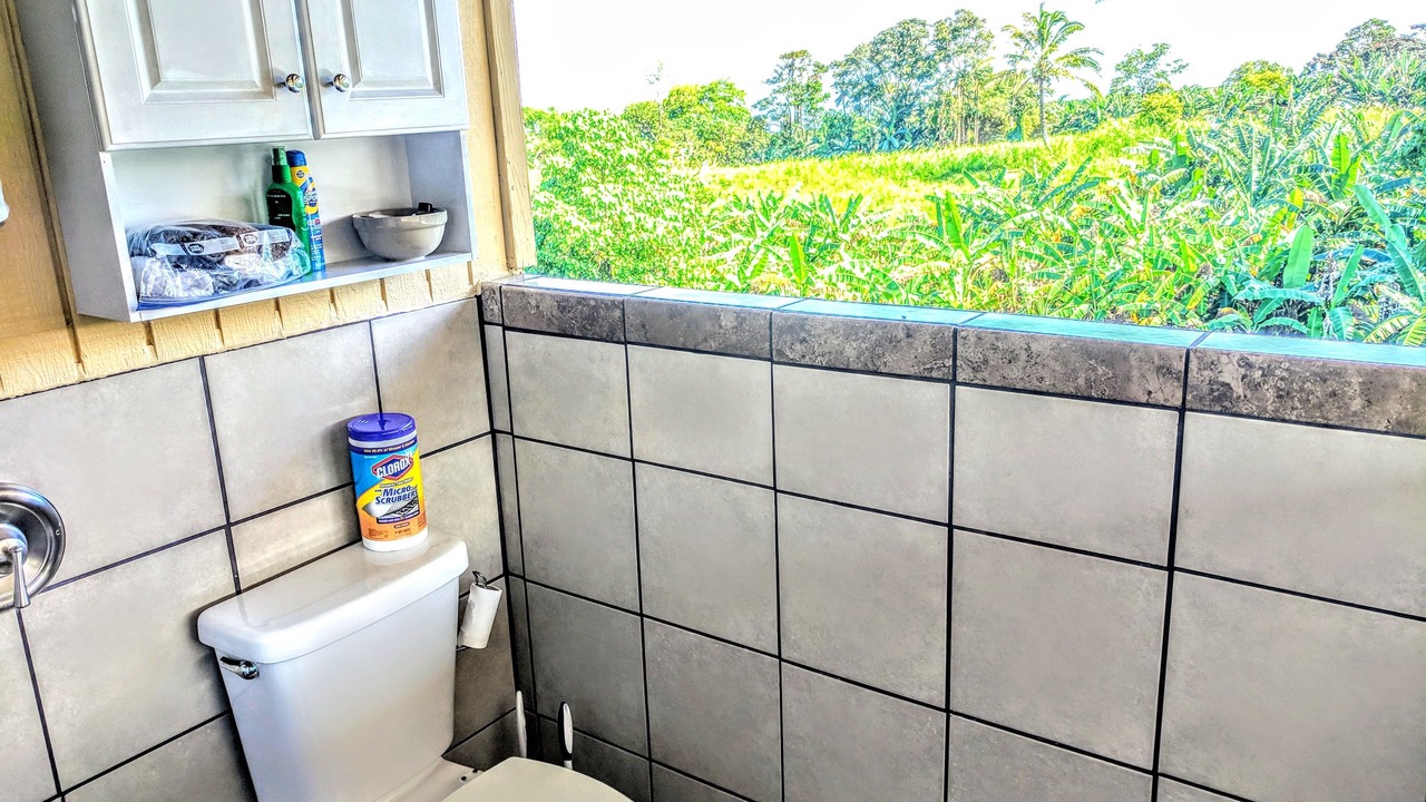 Photo of Bathroom in Pepeekeo
