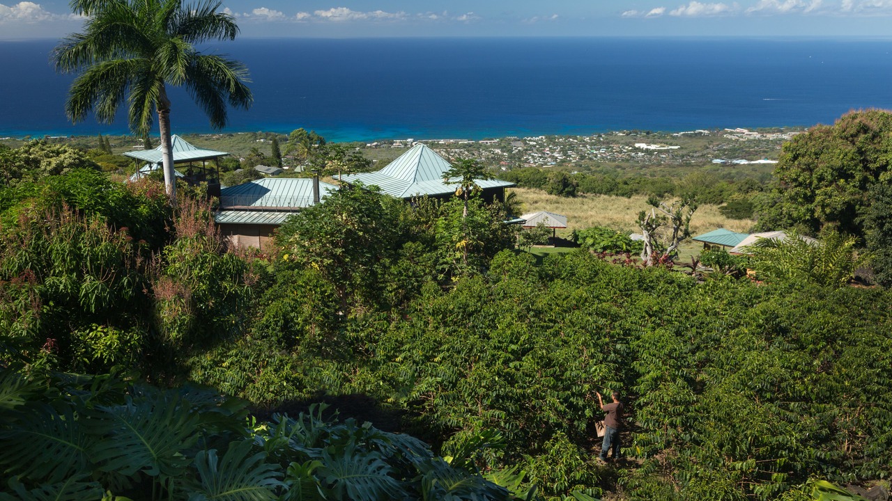 Photo of Others in Holualoa