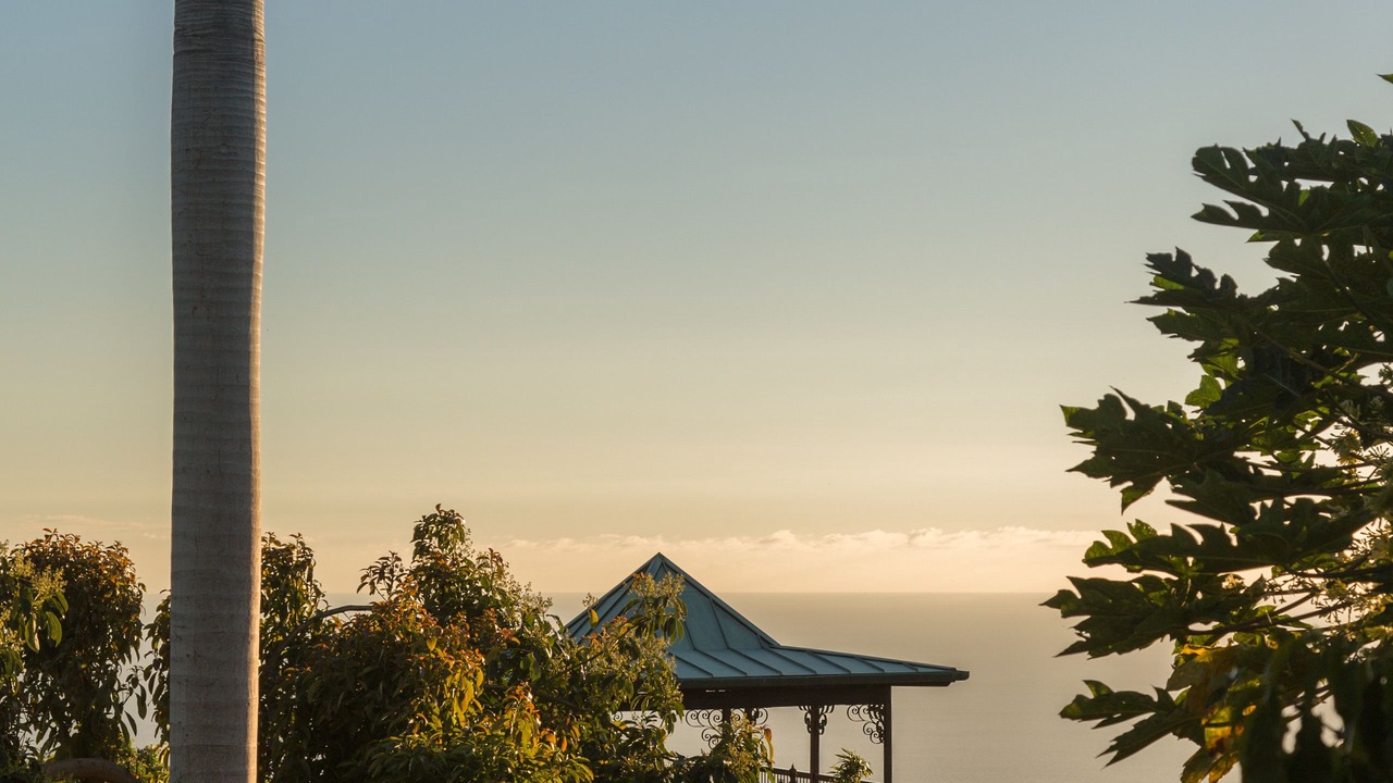 Photo of Outdoor in Holualoa