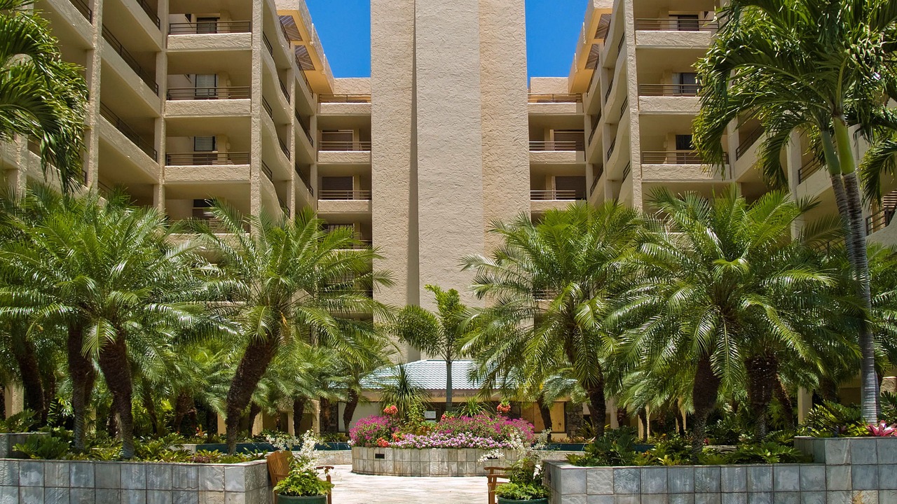 Photo of Outdoor in Wailea