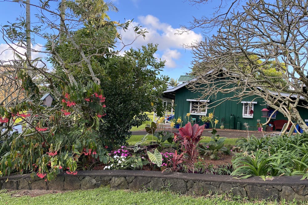 Photo of Outdoor in Papaikou