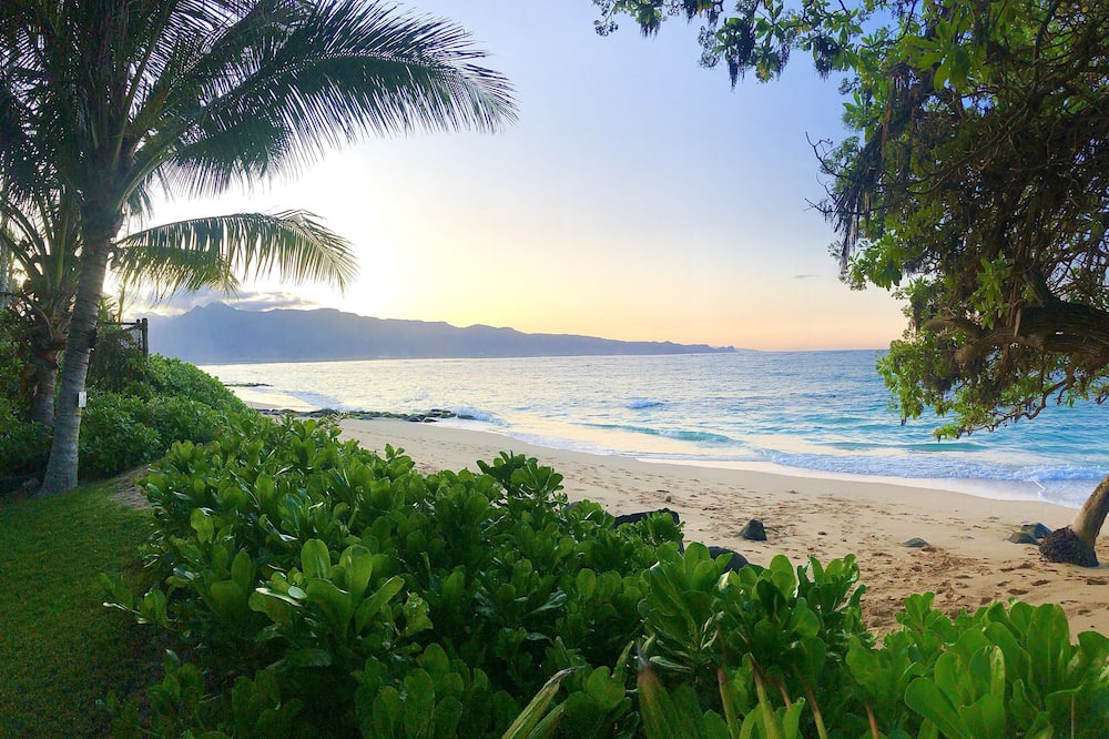 Photo of Others in Kahului