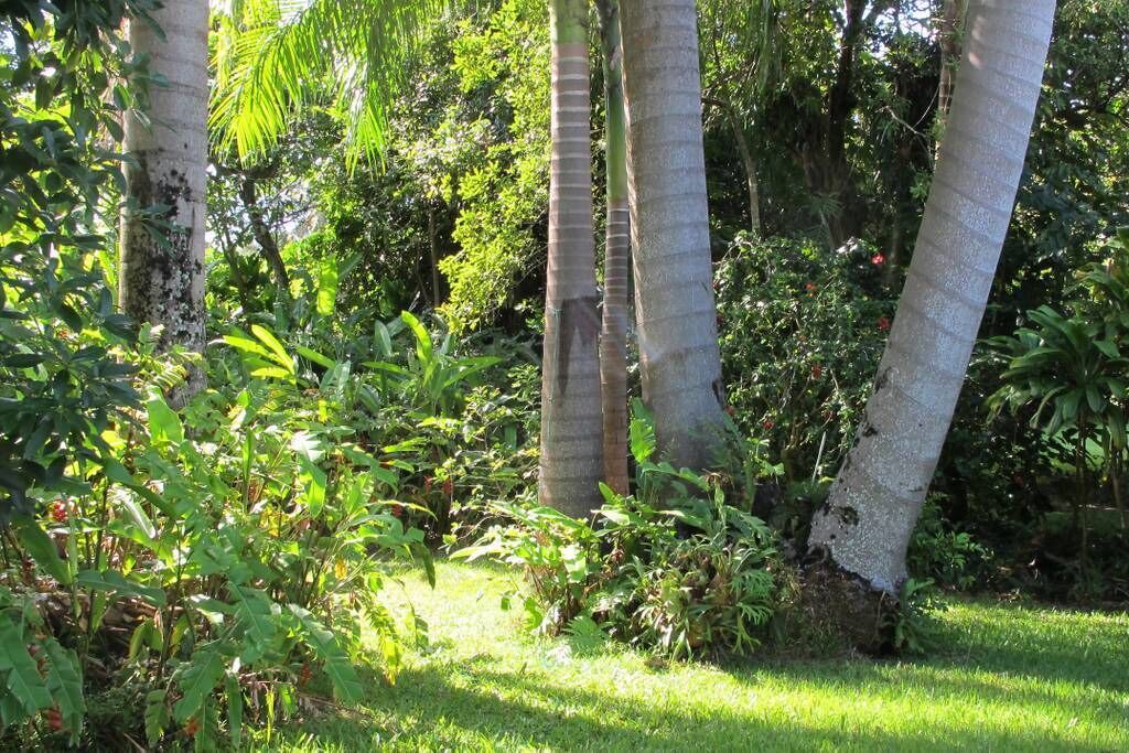 Photo of Outdoor in Kapaau