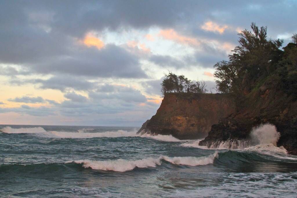 Photo of Others in Kapaau