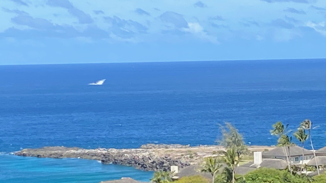 Photo of Others in Kapalua