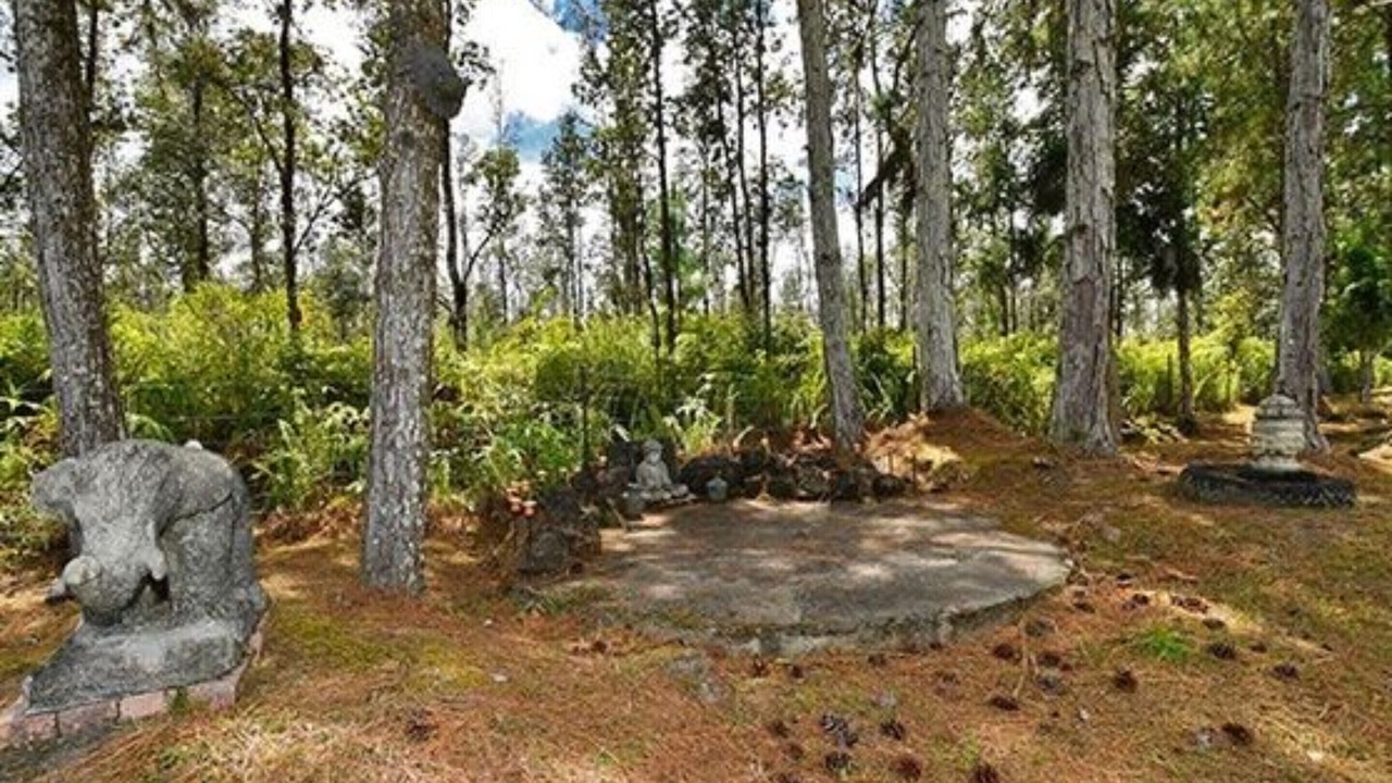 Photo of Outdoor in Hawaiian Acres