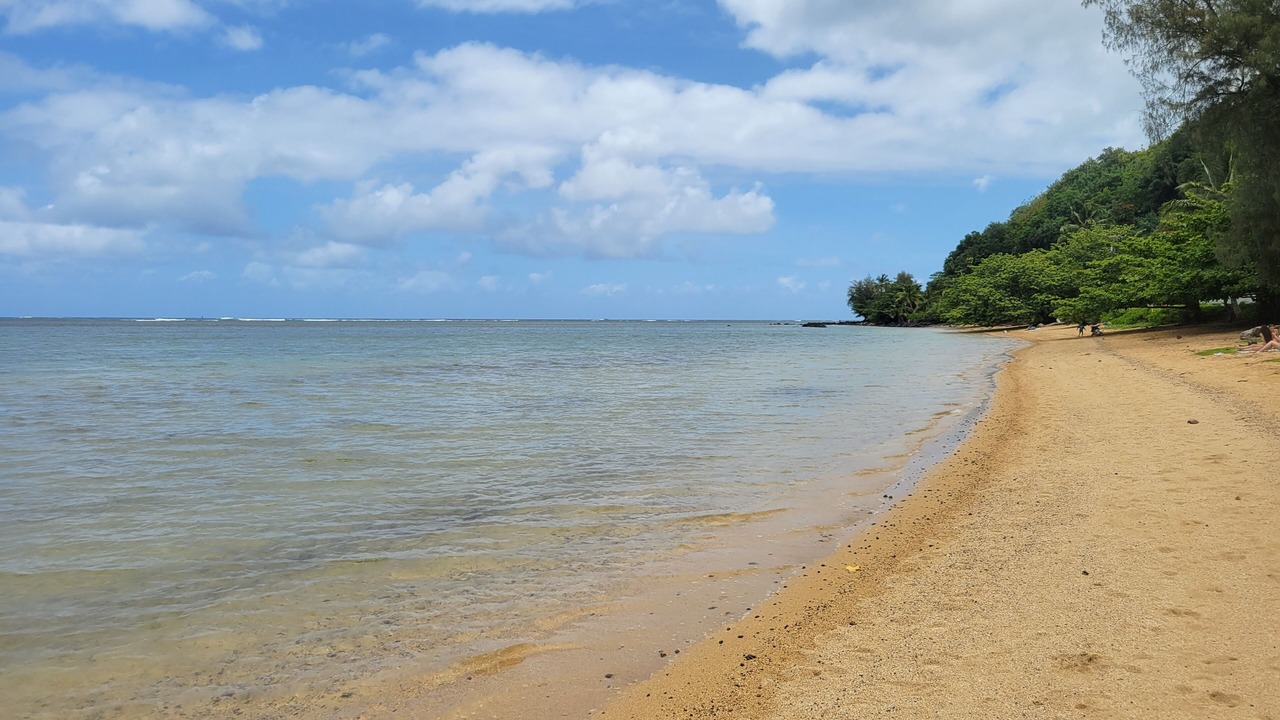 Photo of Others in Hawaiian Acres