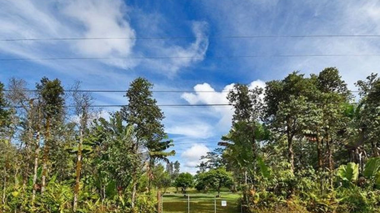 Photo of Outdoor in Hawaiian Acres