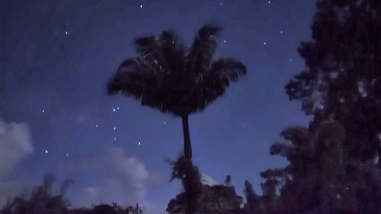 Photo of Others in Hawaiian Acres