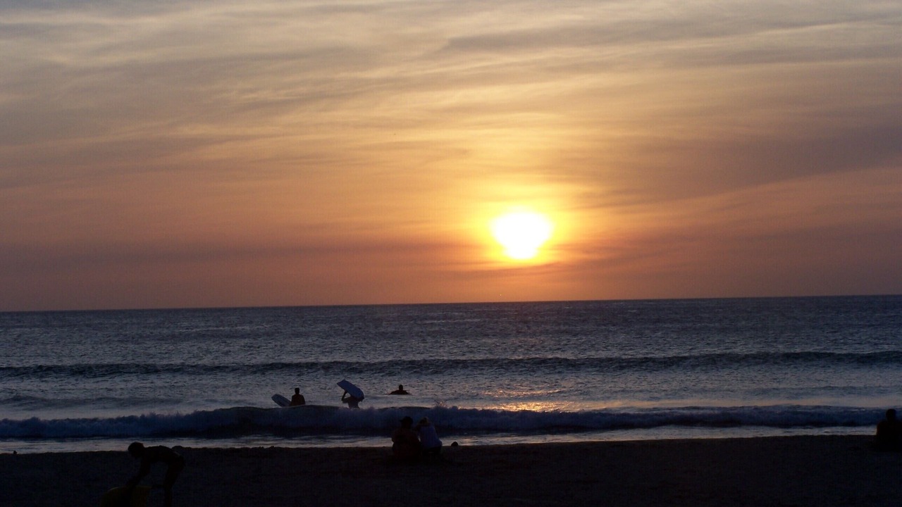 Photo of Others in Ocean View