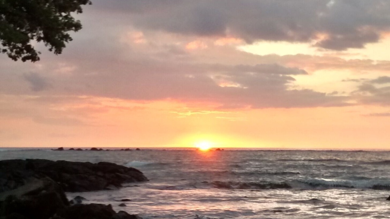 Photo of Others in Ocean View
