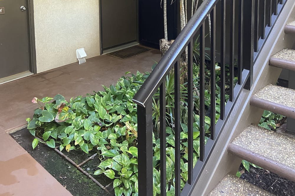 Photo of Others in Kihei