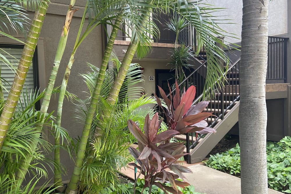 Photo of Outdoor in Kihei