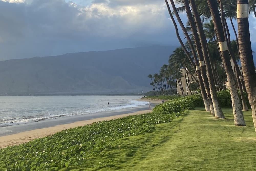 Photo of Others in Kihei