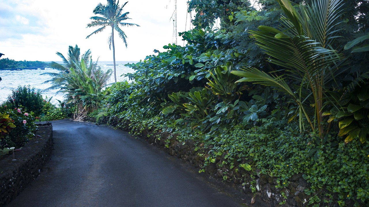 Photo of Outdoor in Hana