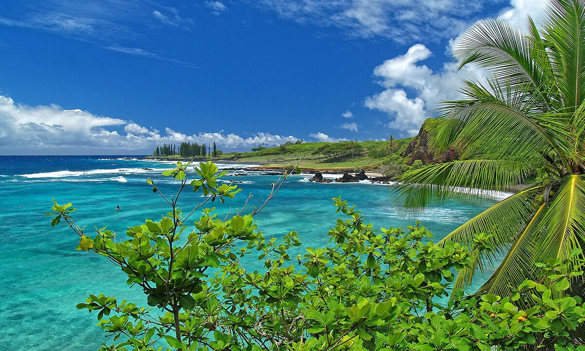 Photo of Outdoor in Hana
