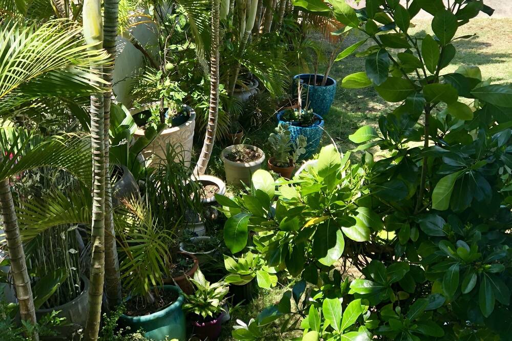 Photo of Outdoor in Tantalus
