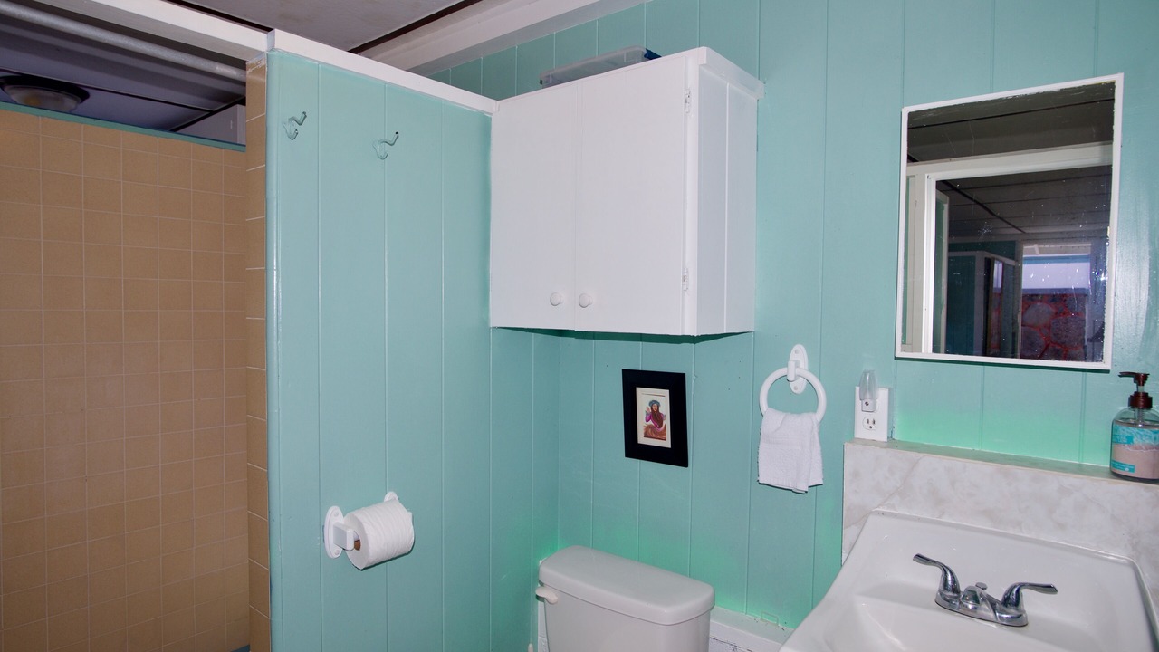 Photo of Bathroom in Honaunau-Napoopoo
