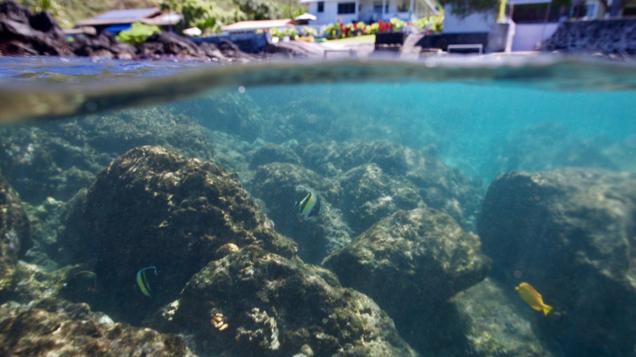 Photo of Outdoor in Honaunau-Napoopoo
