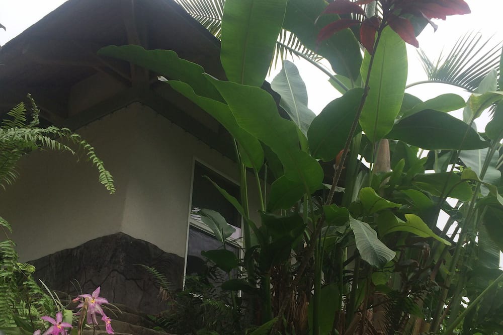 Photo of Outdoor in Holualoa