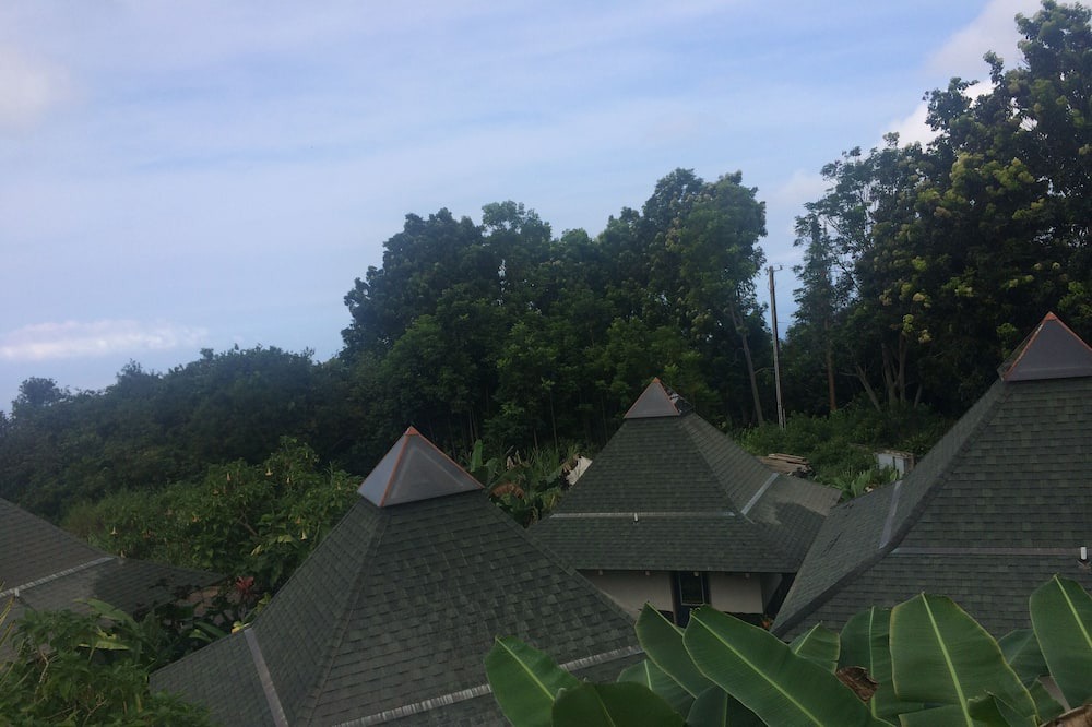 Photo of Others in Holualoa