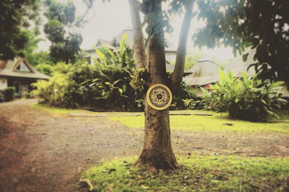 Photo of Outdoor in Holualoa