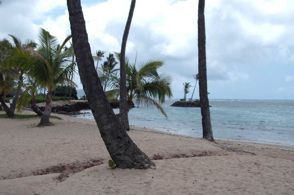 Photo of Others in Waialae Iki