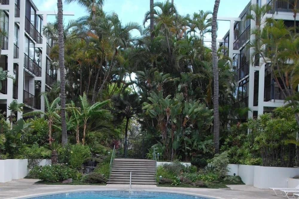 Photo of Outdoor in Waialae Iki
