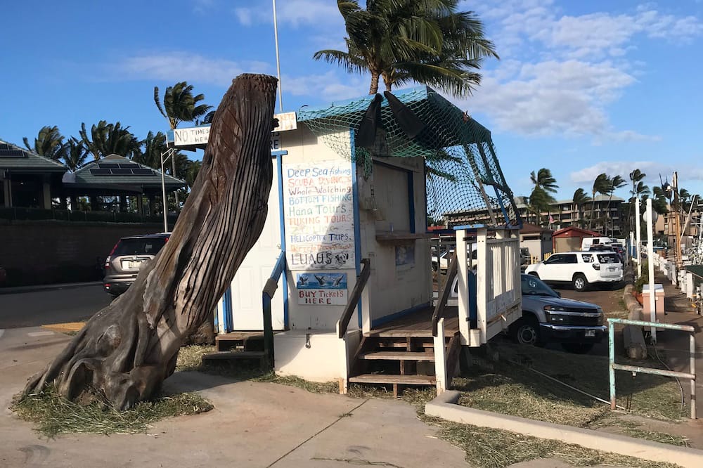 Photo of Outdoor in Maalaea