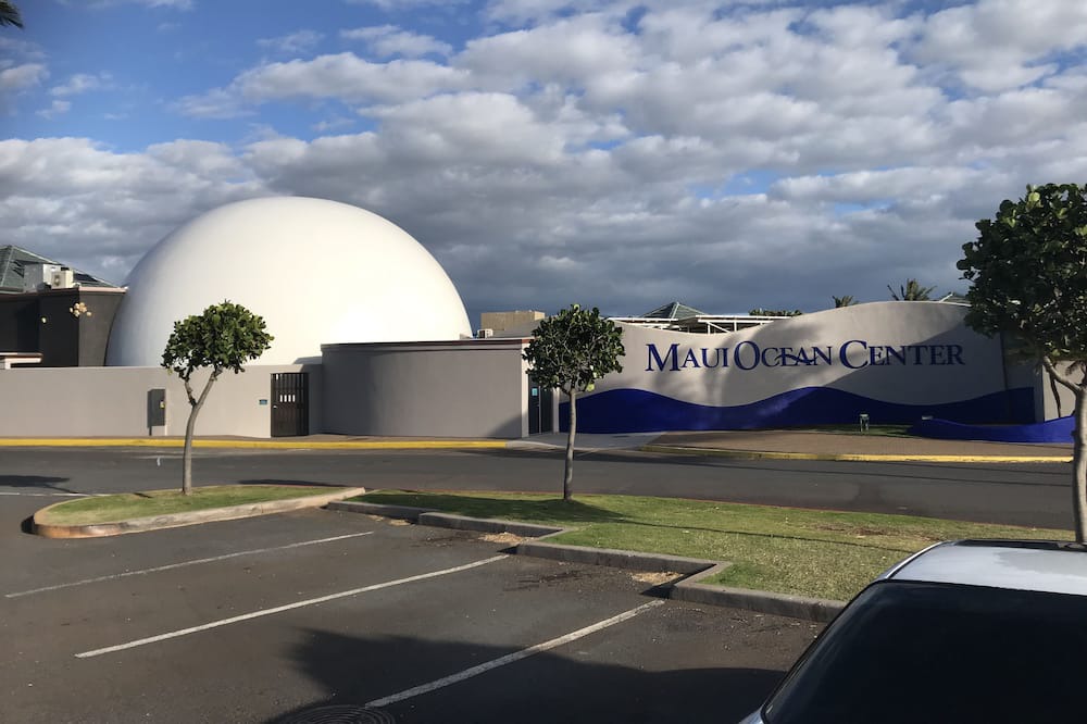 Photo of Outdoor in Maalaea