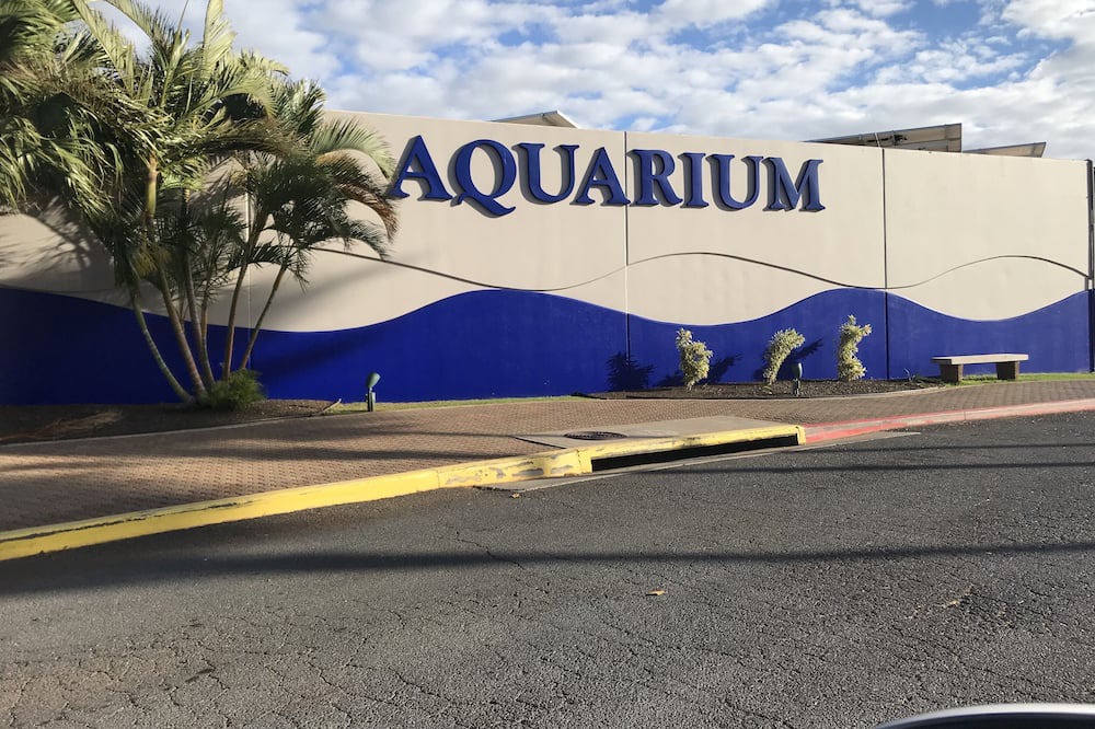 Photo of Outdoor in Maalaea