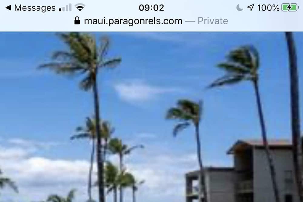 Photo of Others in Maalaea
